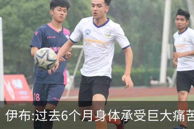 伊布:过去6个月身体承受巨大痛苦 只为帮球队夺冠